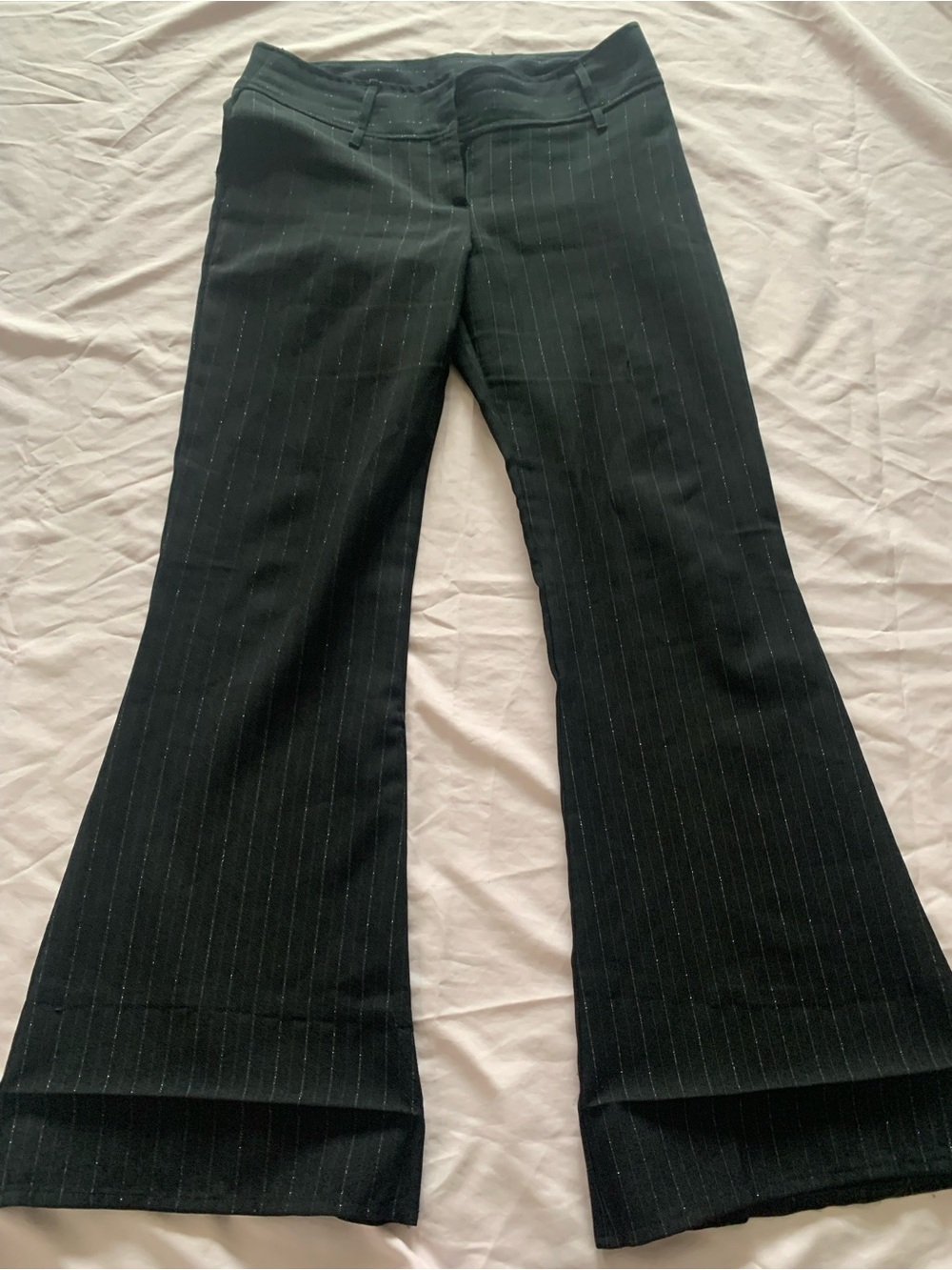 Woman Black and silver sparkly Pinstripe Flared Dress Pants